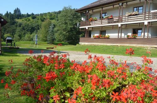 Hostal Pensiunea Irina