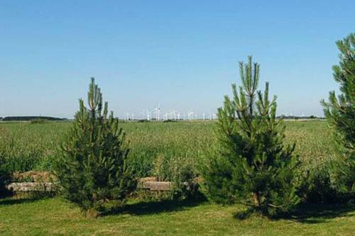 Apartamento Haus Schwalbennest