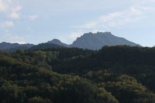 Apartamentos Ciao-aschau Bergen Fewo Alpenheide Waldhauser