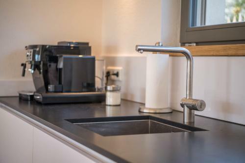 Design Ferienhaus 195qm