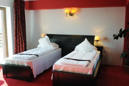 Hostal Pension Poiana Marului