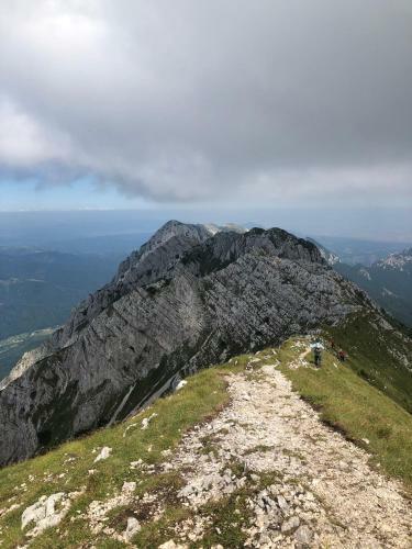 Hostal Pensiunea Aliart