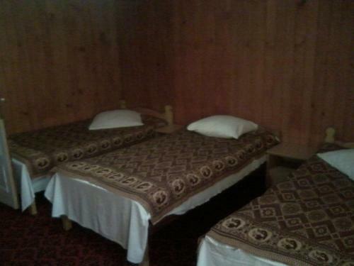 Hostal Pensiunea Irina Zarnesti 3