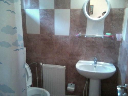 Hostal Pensiunea Irina Zarnesti 3