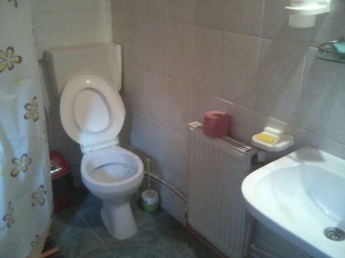 Hostal Pensiunea Irina Zarnesti 3
