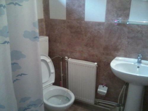 Hostal Pensiunea Irina Zarnesti 3