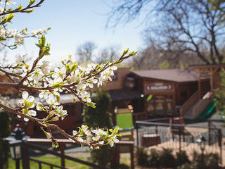 Hotel Little Texas