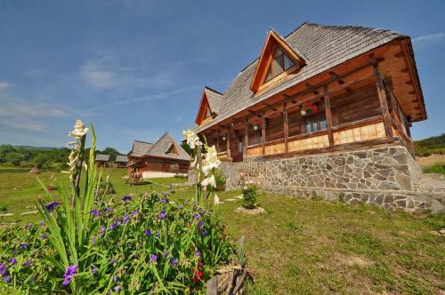 Hostal Casele De Vacanta Luca & Vicentiu