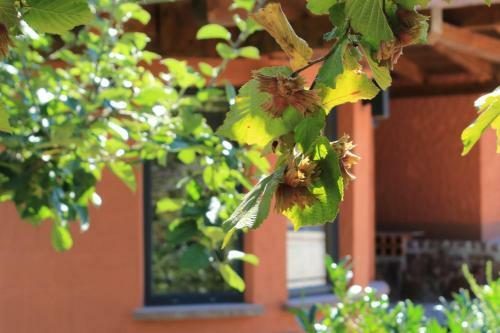 Apartamentos Ferienwohnung Altschloss
