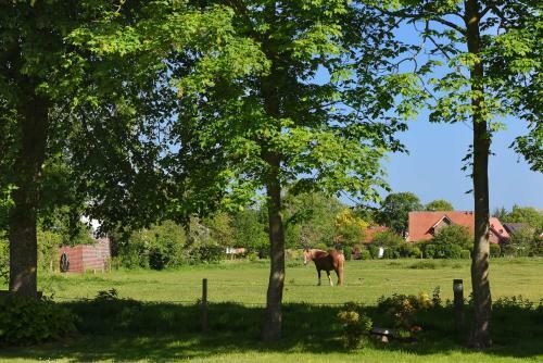 Ferienhaus Nordseeliebe
