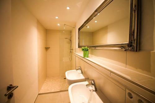 Black Forest Apartements By Hotel Gr�ner Baum Feldberg