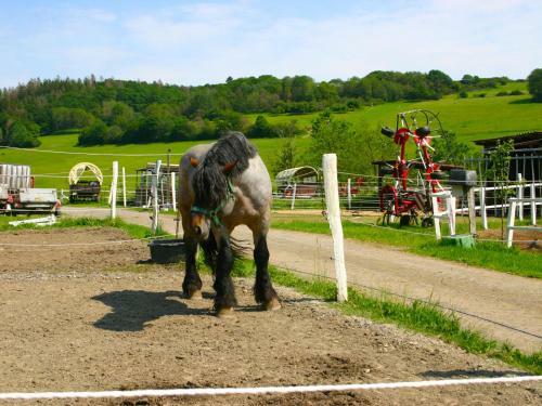 Holiday Home Am Sternberg 137