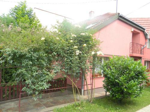 Hostal Cazare Vio