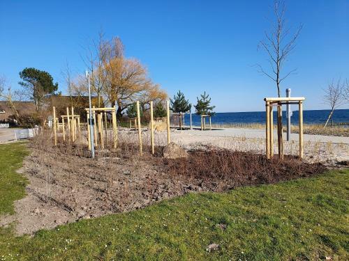 Apartamento Sanddorn Haus Sanddorn - Whg 13