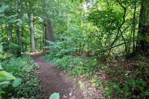 Ostseecamp L�becker Bucht Steuerbord