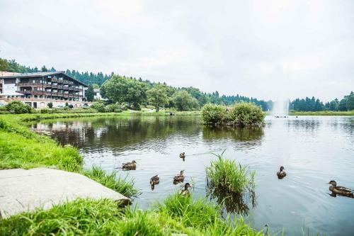 Apartamento Haus Am See App.anker Am Kranichsee