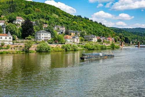 Bs Neckar Apartment Heidelberg