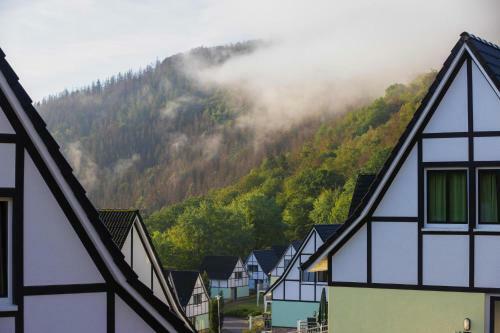 Holiday Home Im Ferienpark Eifel Heimbach - Dmg06101d-f