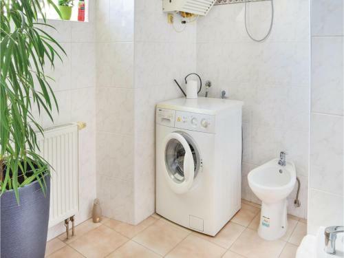 Apartment Zizkova Brana