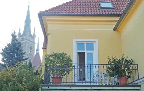 Apartment Zizkova Brana