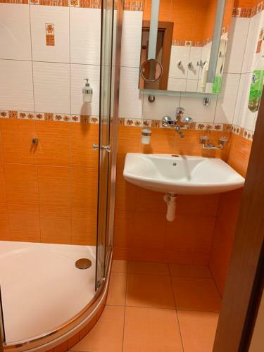 Hostal Penzion U Splavu