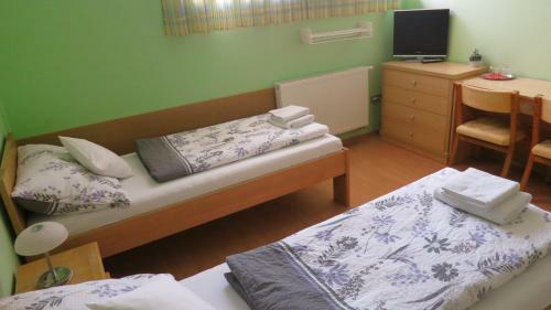 Hostal Penzion U Splavu