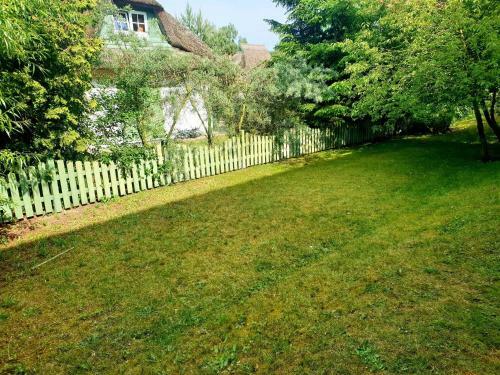 Apartamento Ferienwohnung Strandgold_oliv
