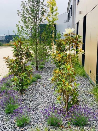 Intergroup Business & Design Hotel Ingolstadt