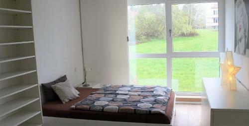 Bodensee Apartment Lindau Im Schachen Schl�ssle