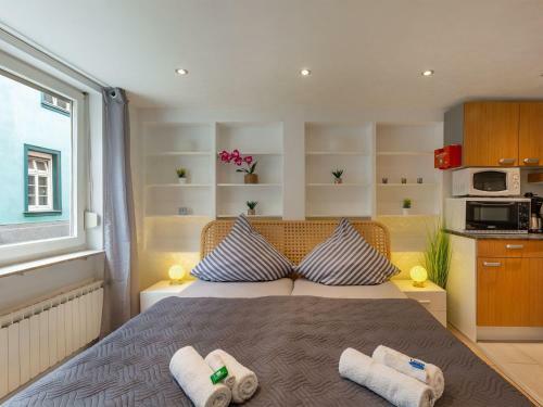 Pleasant Apartment In Linz Near River Rhine