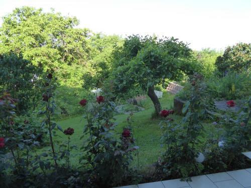 Apartamento Ferienwohnung Dora 2