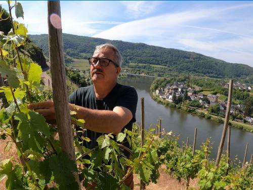 Bed & Breakfast Weingut Und Pension Markus Kochems