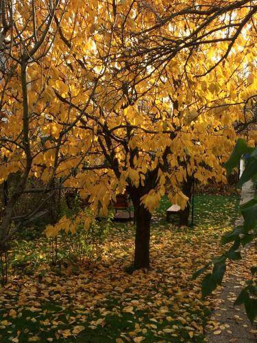 Hostal Pension Crhan