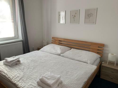 Hostal Mikulov Inn - Penzion Zem?