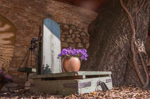 Hostal Mikulov Inn - Penzion Zem?