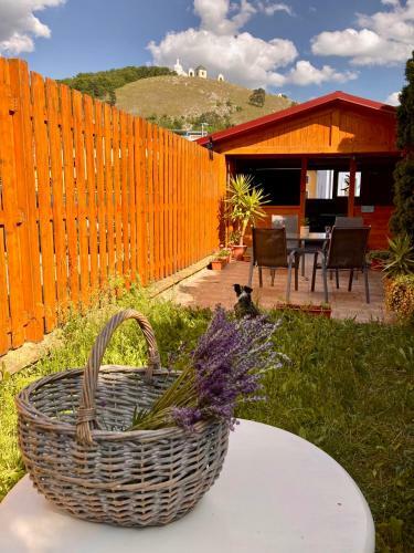 Hostal Guesthouse Mikul�? Mikulov
