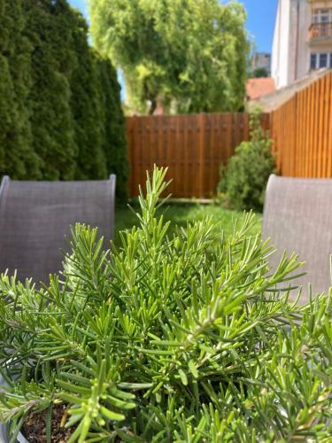 Hostal Guesthouse Mikul�? Mikulov