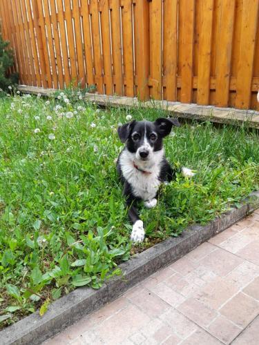 Hostal Guesthouse Mikul�? Mikulov