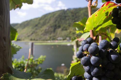 Winzerh�usje