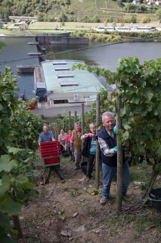 Winzerh�usje