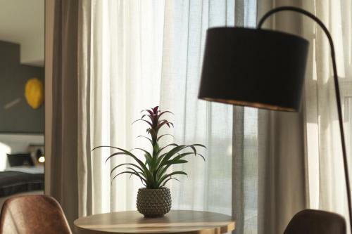 The Niu Leo - Apartments