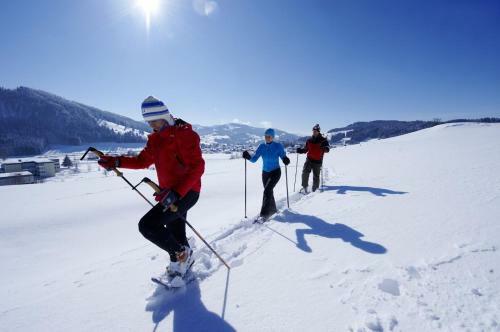 Apartamento Chalet Ifen Am Hochgrat