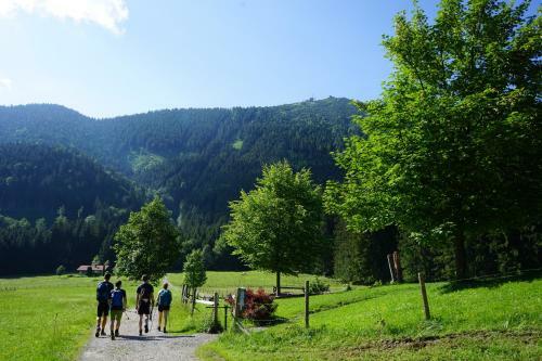 Apartamento Ferienwohnungen Chiemgauer Seengl�ck