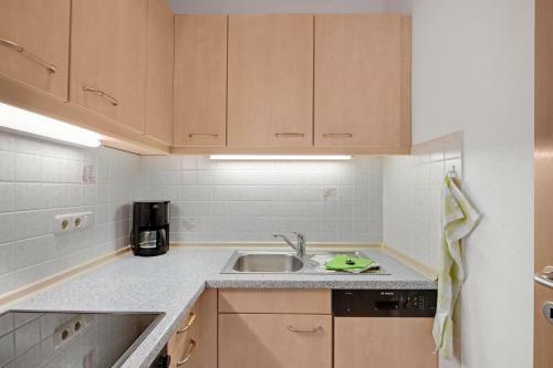 Apartamento Petrushof Ferienwohnung Rechenberg