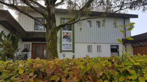 Ferienhaus Hainz