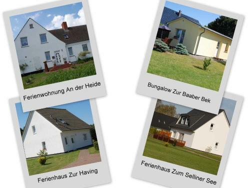 Apartamento Ferienhaeuser Baaber Heide