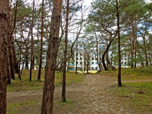Apartamento Strandresort Prora F648 Wg 5-2