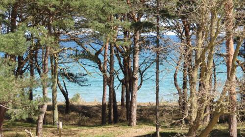 Apartamento Haus Aurum Appartement Ostseestrand
