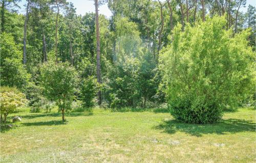 Stunning Apartment In Graal M�ritz With 1 Bedroom