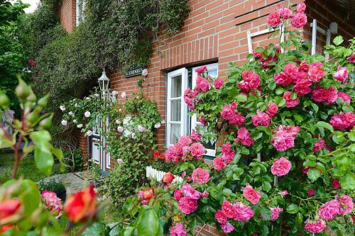 Apartamento Holiday Flat Oevenum - Dns10102e-p